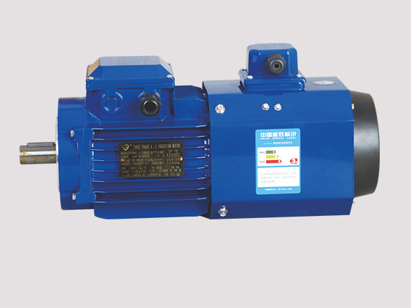 Square Aluminum-housing Variable Frequency Three Phase induction Motor